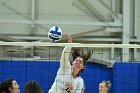 VB vs Plymouth St  Wheaton Women’s Volleyball vs Plymouth St. - Photo by Keith Nordstrom